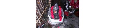 அரிதாரிமங்கலம்